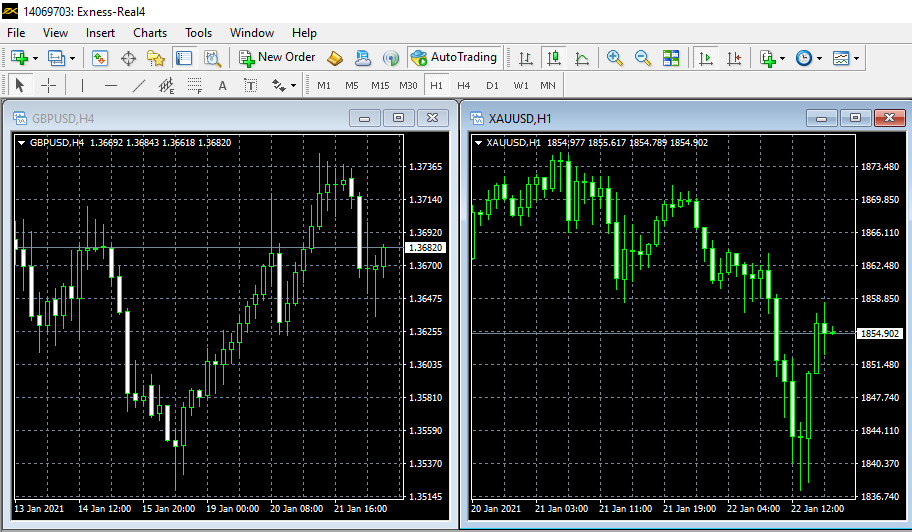 Exness MT4 trading platform